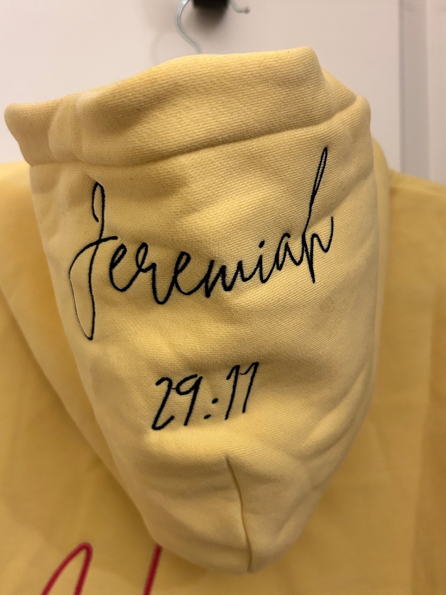 PRE-ORDER (within 1-2 Months) THATZ Fire Jeremiah 29:11 Firework Hoodie!! πβοΈ + Free THATZ Fire Sunglasses!